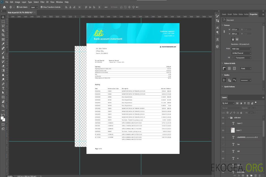 Relevé bancaire USA Lili Word template